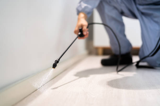 Bed Bug Pre-Treatment Preparation Assessment in Buellton