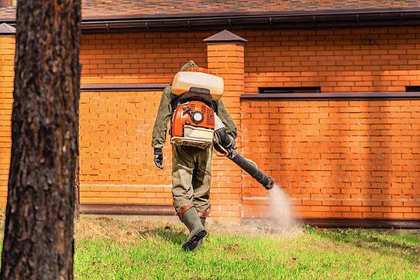 Bed Bug Clearance Verification and Documentation in Buellton